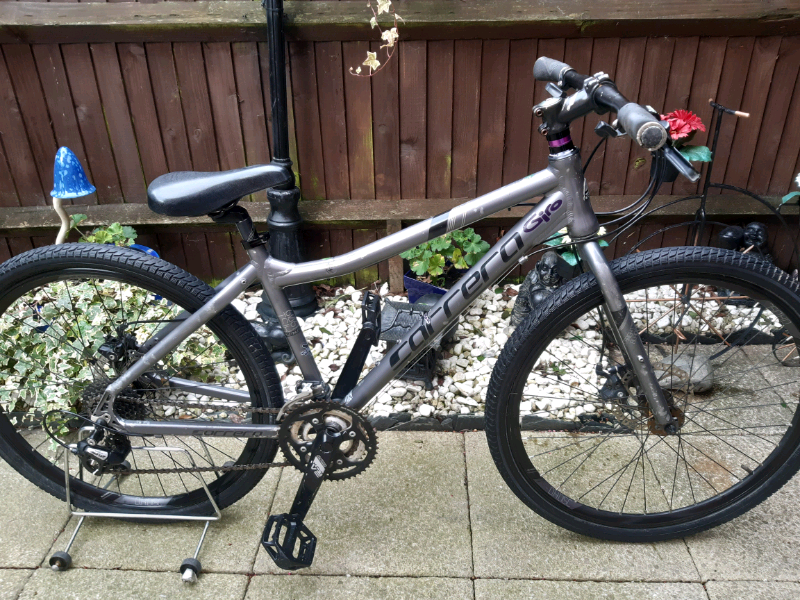 boys carrera mountain bike